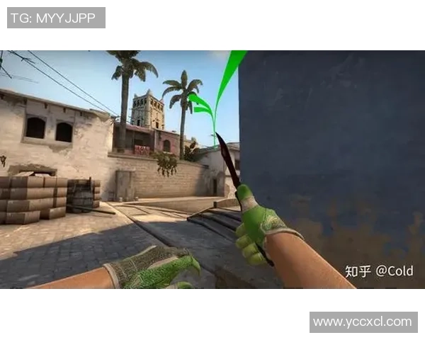 CSGO热议聚焦JDG战队意识争议引发的战术讨论与分析