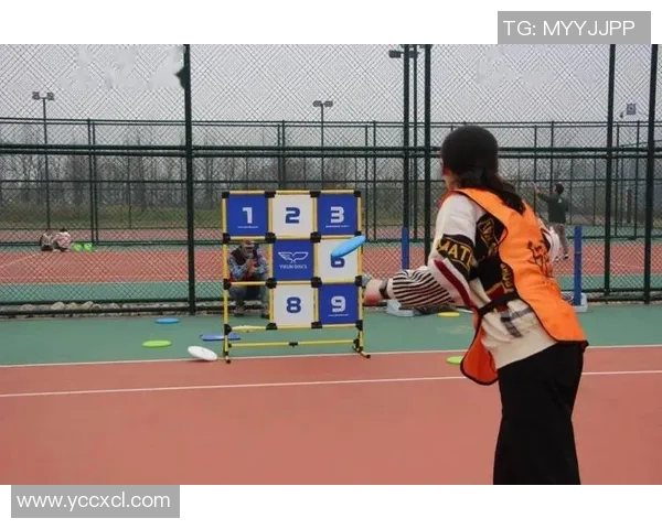 杨军独家分享飞盘技巧与心得体会助你轻松掌握飞盘运动的乐趣与技巧