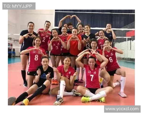 武汉排球队在全国排球灵活性排行榜中荣获第六名展现出强劲实力与潜力